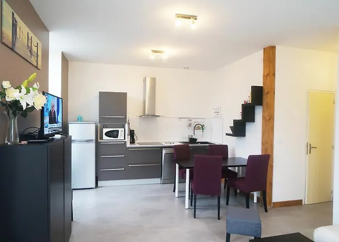 Apartment Le Puligny, Classe 3 Etoiles Beaune (Cote d'Or)